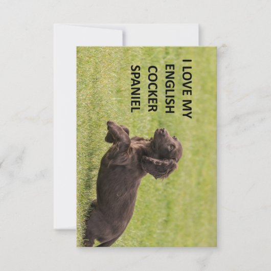 englische Cocker spaniel Liebe mit Bild Dankeskarte (Vorderseite)