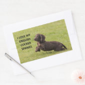 englische Cocker spaniel Liebe mit Bild Rechteckiger Aufkleber (Umschlag)