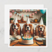 Englische Cocker Spanischkarte, Spanier Geburtstag Einladung (Vorne/Hinten)