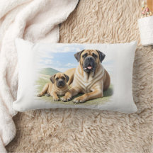 Englische Dogge Mastiff mit Kind