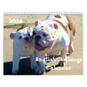 Englische Druckkalender der Bulldoggen-2014 Kalender (Titelbild)