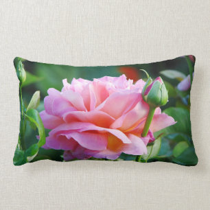 Englische Garten-Tee-Rose Lendenkissen