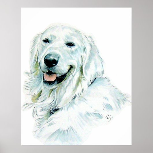 Englische Golden Retriever Print Poster (Vorne)