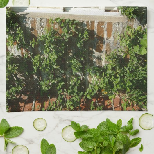 Englische Hütte I Charming Geschirrtuch (Gefaltet)