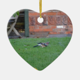 Englische Jay Keramikornament