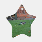 Englische Jay Keramikornament (Rechts)