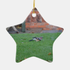 Englische Jay Keramikornament