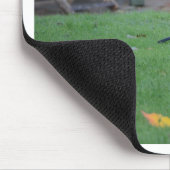 Englische Jay Mousepad (Ecke)