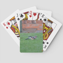 Englische Jay Spielkarten