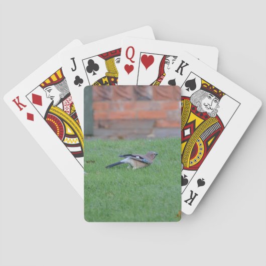 Englische Jay Spielkarten (Rückseite)