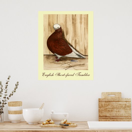 Englische Kurzattrappe Poster (Küche)