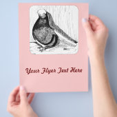 Englische Kurztaube 1978 Flyer (Hand)