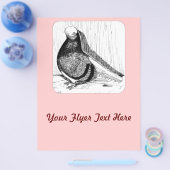 Englische Kurztaube 1978 Flyer (Einzeln)