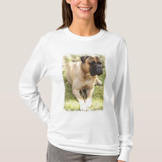 Englische Mastiff-Damen-langer Hülsen-T - Shirt (Vorderseite)