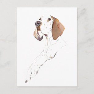 Englische Pointer Postkarte, Aquarellmalerei Postkarte