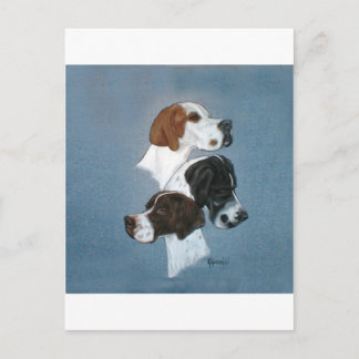 Englische Pointer Trio Head Study Postkarte
