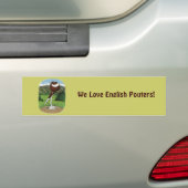 Englische Pouter-Taube mit Bergen Autoaufkleber (Auf Auto)