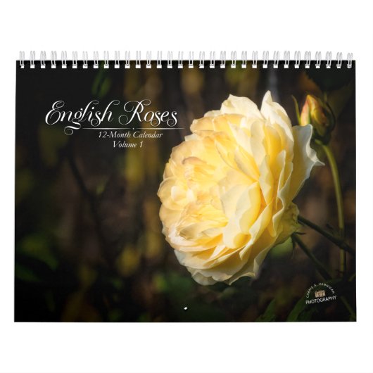 Englische Rose 12-monatiger Kalender (Titelbild)