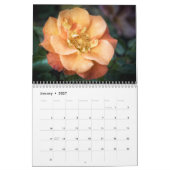 Englische Rose 12-monatiger Kalender (Jan 2027)