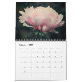 Englische Rose 12-monatiger Kalender (Feb 2027)