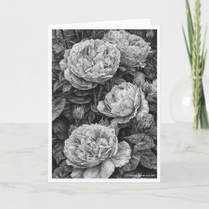 Englische Rosen Feder und Tinte Zeichnung Karte