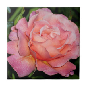 Englische Rosen-Keramik-Fliese Fliese