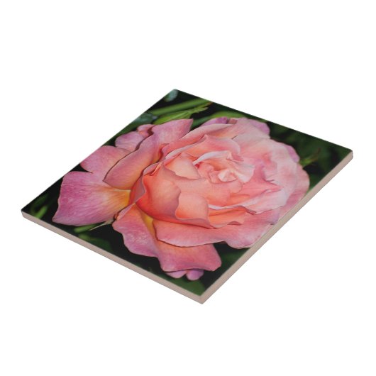 Englische Rosen-Keramik-Fliese Fliese (Seite)