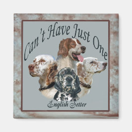 englische Setter kann nicht nur ein Magnet haben