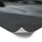 englische Setter Poster Print (Ecke)