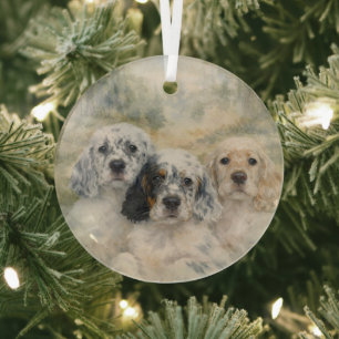 Englische Setter Welpen Ornament Aus Glas