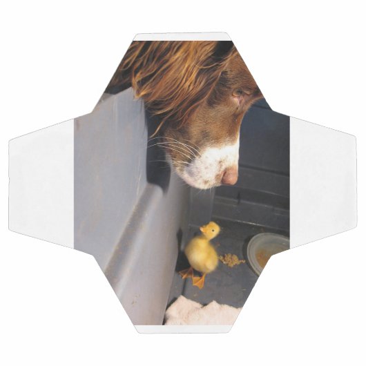 Englische Spanke Fußball (Flach)