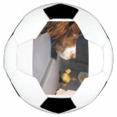 Englische Spanke Fußball (Vorderseite)