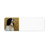englische springer spaniel in weizen.png (Vorne)