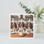 Englische Springer Spanischkarte, Spanier Geburtst Einladung (Stehend Vorderseite)