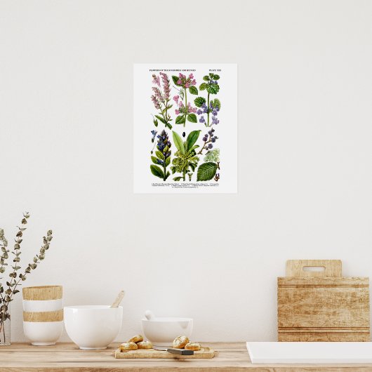 Englische Wildblume Kunstdruckerei Nr. 8 Botanisch Poster (Küche)