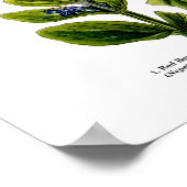 Englische Wildblume Kunstdruckerei Nr. 8 Botanisch Poster (Ecke)