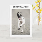 Englische Zeiger-Glückwunsch-Karte Karte (Gelbe Blume)