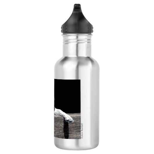 Englische Zeiger-Wasser-Flasche - "Sophie " Trinkflasche (Rechts)