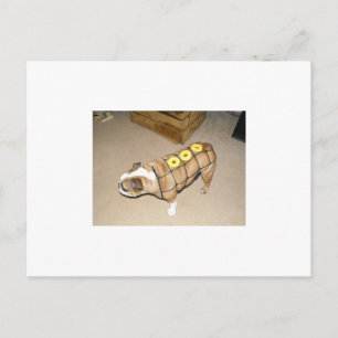 englischer Bulldog als Honigschinken Postkarte