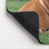 englischer Bulldog, Hund, süß Mousepad (Ecke)