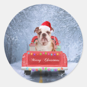 Englischer Bulldog im Schnee sitzend im Weihnachts Runder Aufkleber