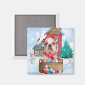 Englischer Bulldog im Schnee Weihnachts-Hundehaus Magnet (Vorderseite/Rückseite)