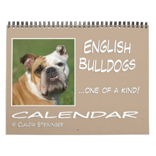 Englischer Bulldogge Kalender 2011