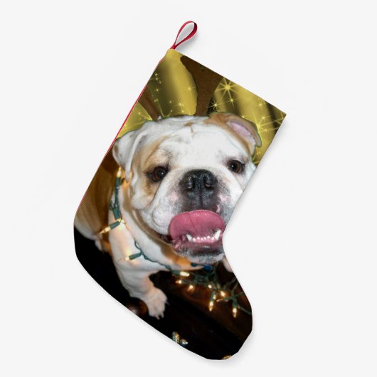 Englischer Bulldogge WeihnachtsStrumpf Kleiner Weihnachtsstrumpf (Vorderansicht (hängend))
