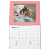 Englischer Bulldoggen-Kalender 2010 Kalender (Mär 2027)