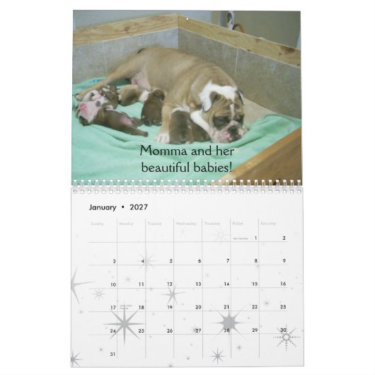 Englischer Bulldoggen-Kalender 2010 Kalender (Jan 2027)