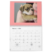 Englischer Bulldoggen-Kalender 2010 Kalender (Feb 2026)
