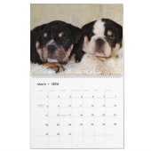 Englischer Bulldoggen-Kalender 2016 Kalender (Mär 2026)