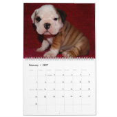 Englischer Bulldoggen-Kalender 2016 Kalender (Feb 2027)