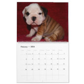 Englischer Bulldoggen-Kalender 2016 Kalender (Feb 2026)